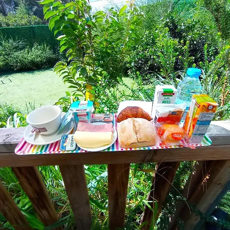 Alojamento de Turismo Selvagem Casa De Cedros *